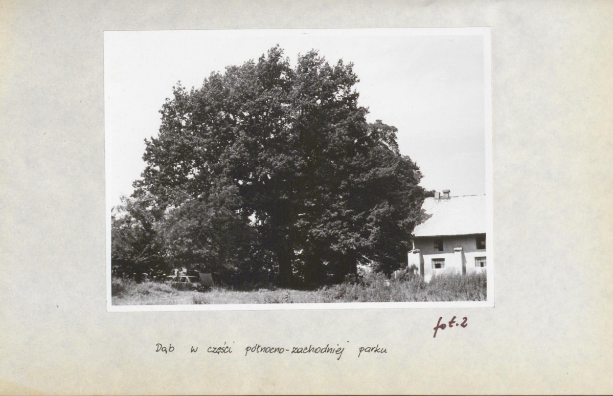 Ewidencja parkowa, skan nr 22