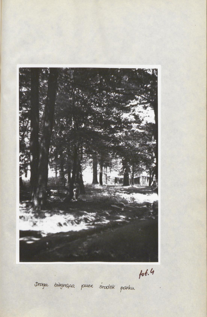 Ewidencja parkowa, skan nr 24