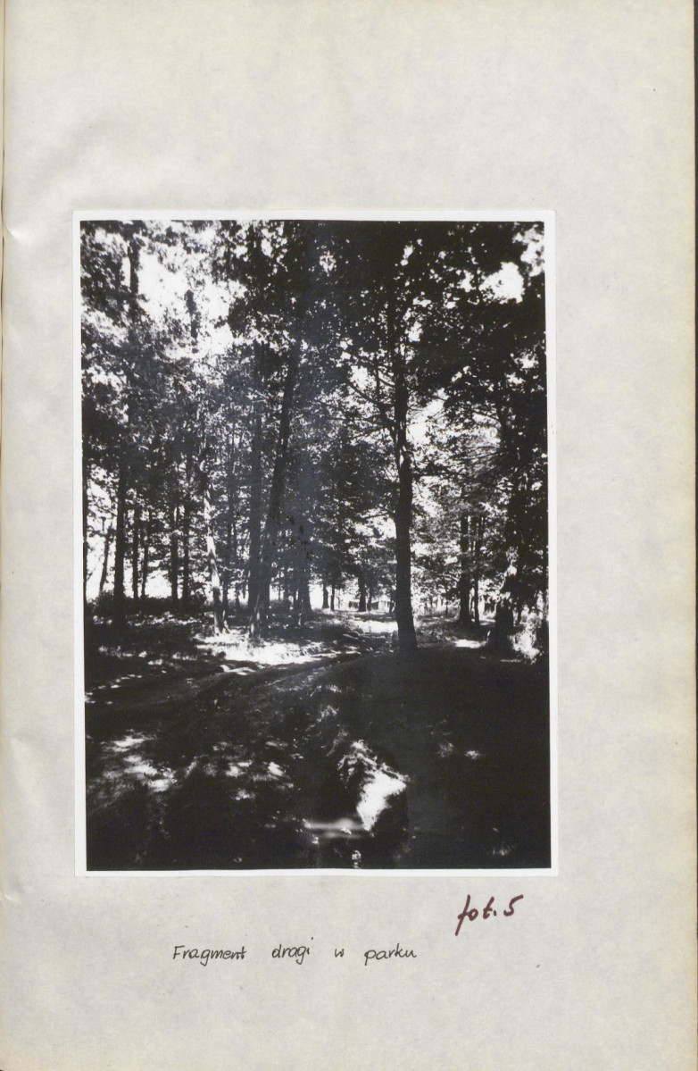 Ewidencja parkowa, skan nr 25