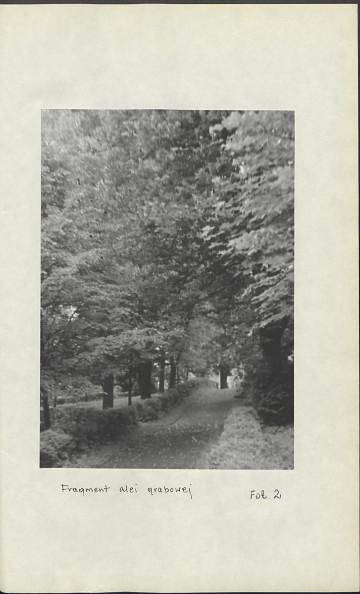 Ewidencja parkowa, skan nr 28