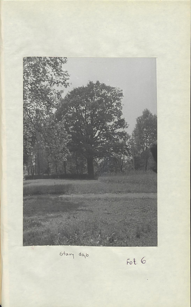 Ewidencja parkowa, skan nr 32
