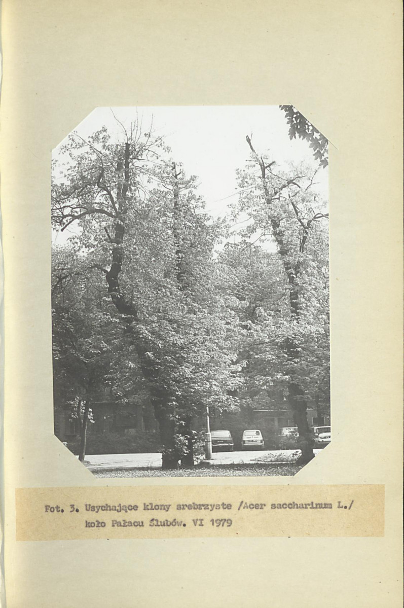 Ewidencja parkowa, skan nr 18
