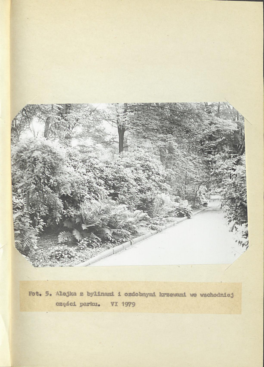Ewidencja parkowa, skan nr 20