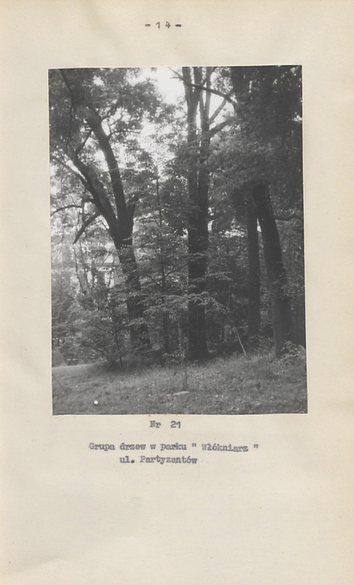 EP - Ewidencja parkowa, skan nr 28