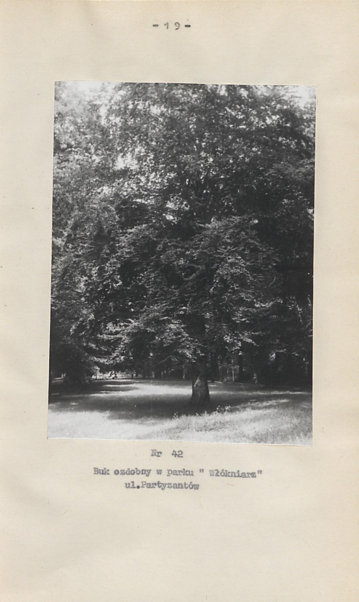 EP - Ewidencja parkowa, skan nr 33