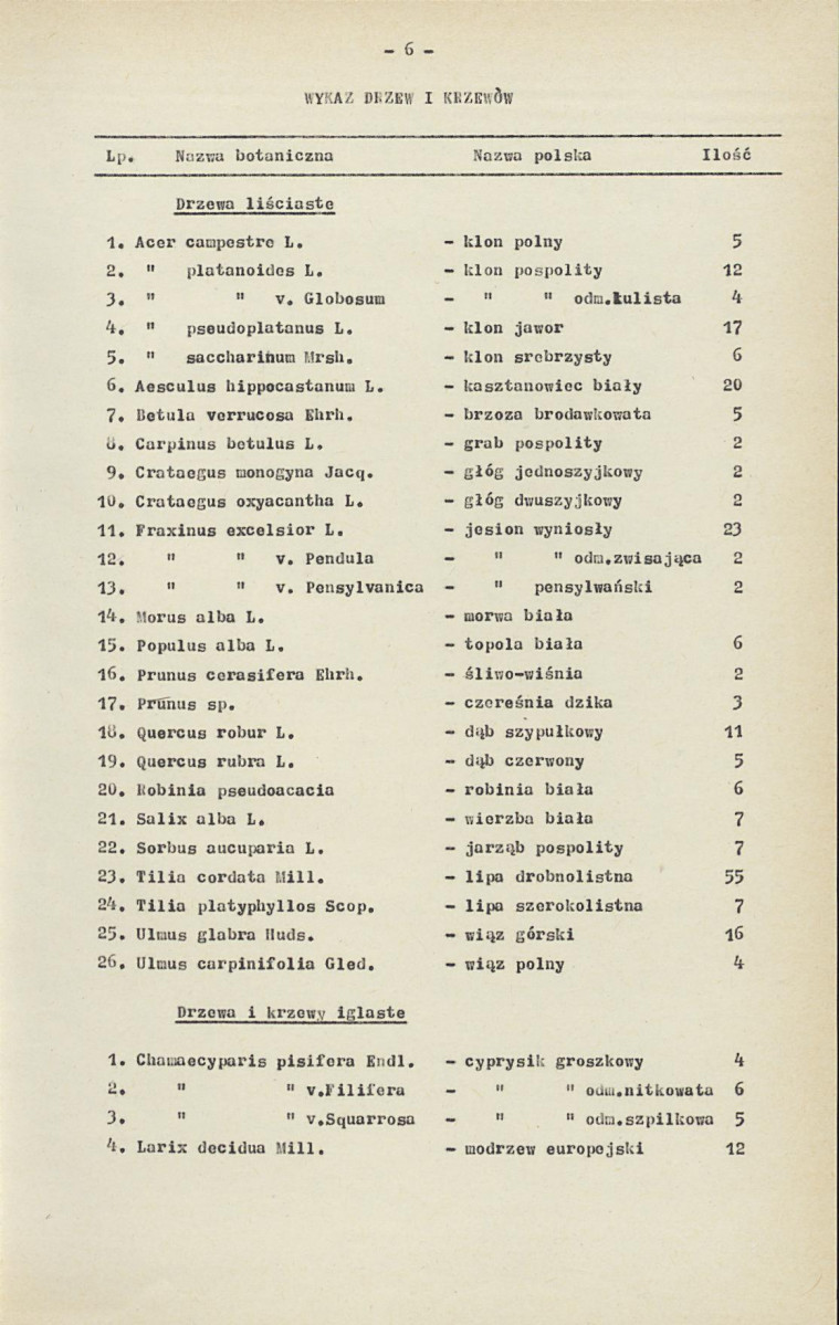 Ewidencja parkowa, skan nr 13