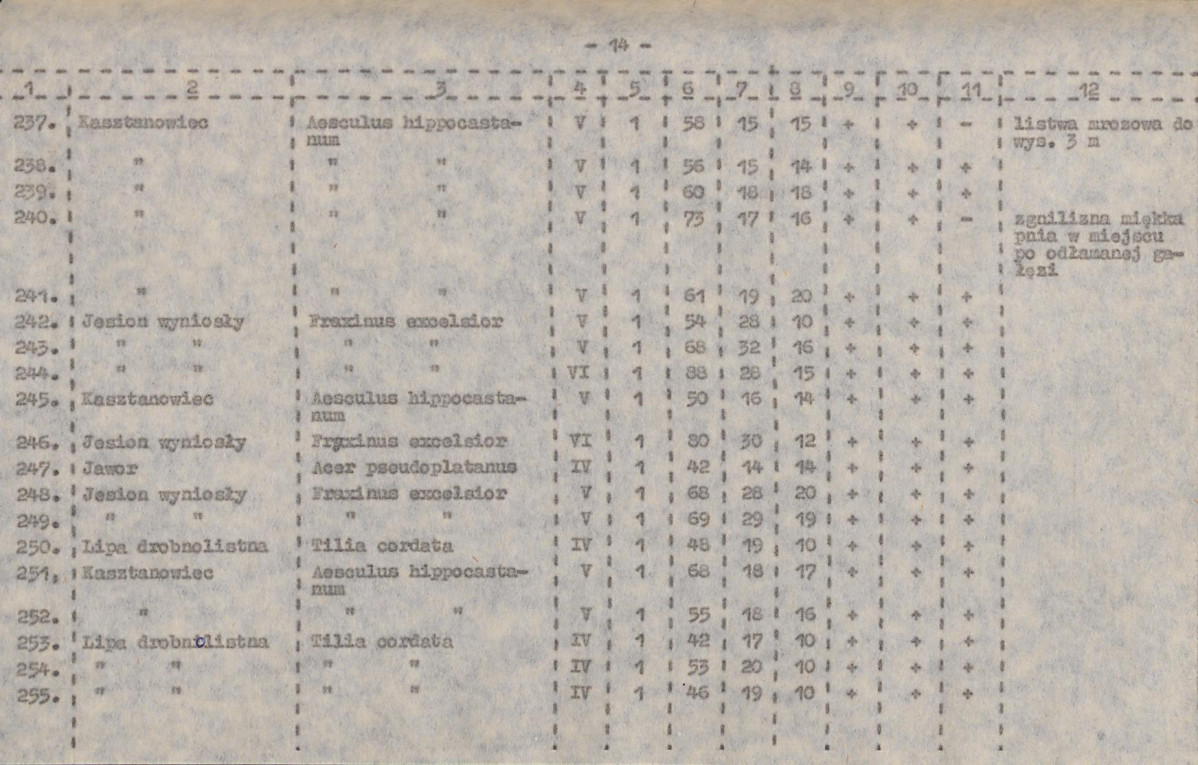 EP - Ewidencja parkowa, skan nr 49