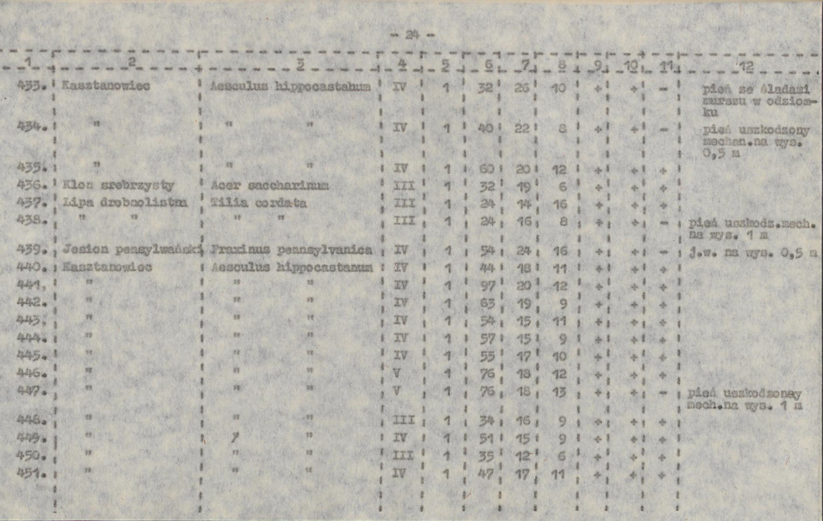 EP - Ewidencja parkowa, skan nr 59