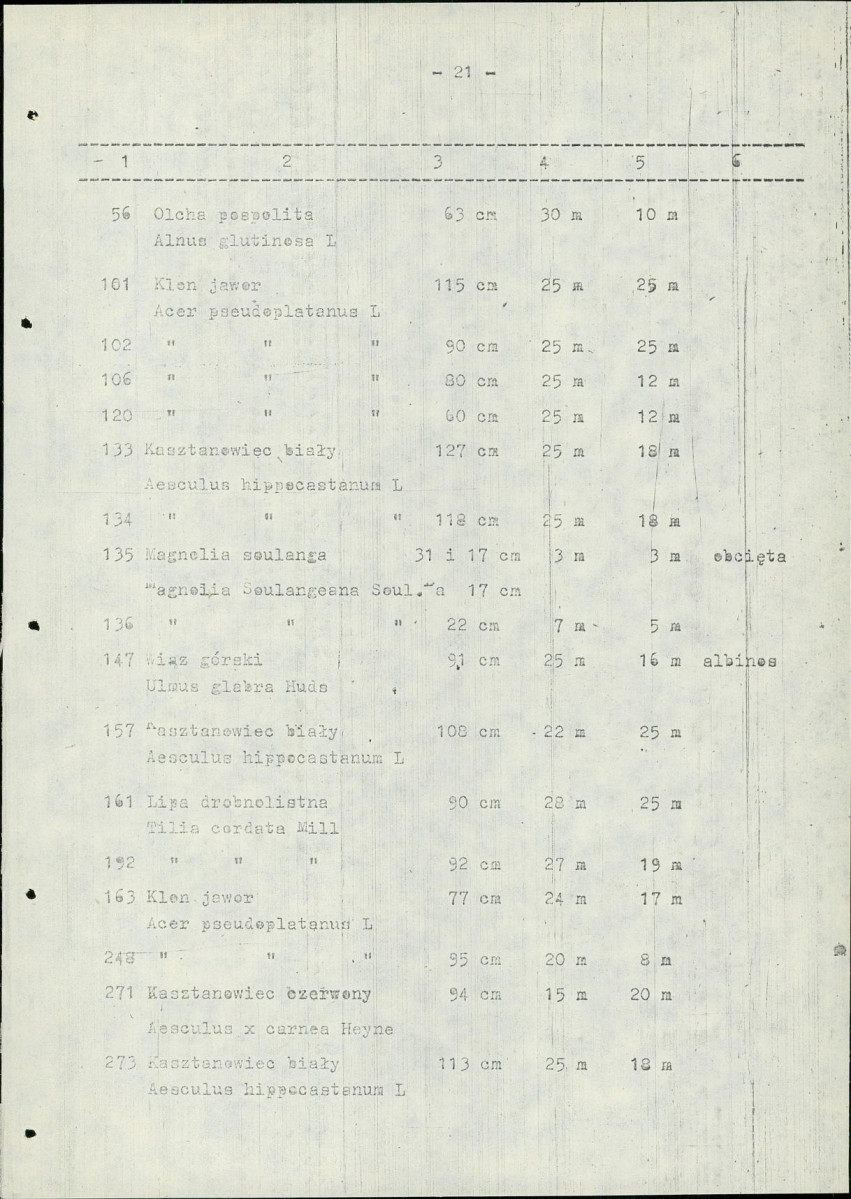 Ewidencja parkowa, skan nr 31