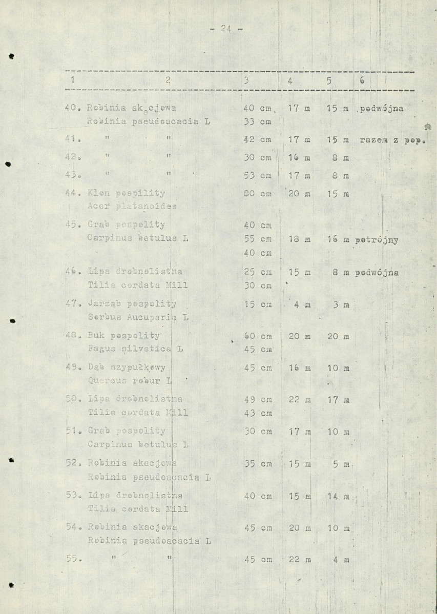 Ewidencja parkowa, skan nr 34