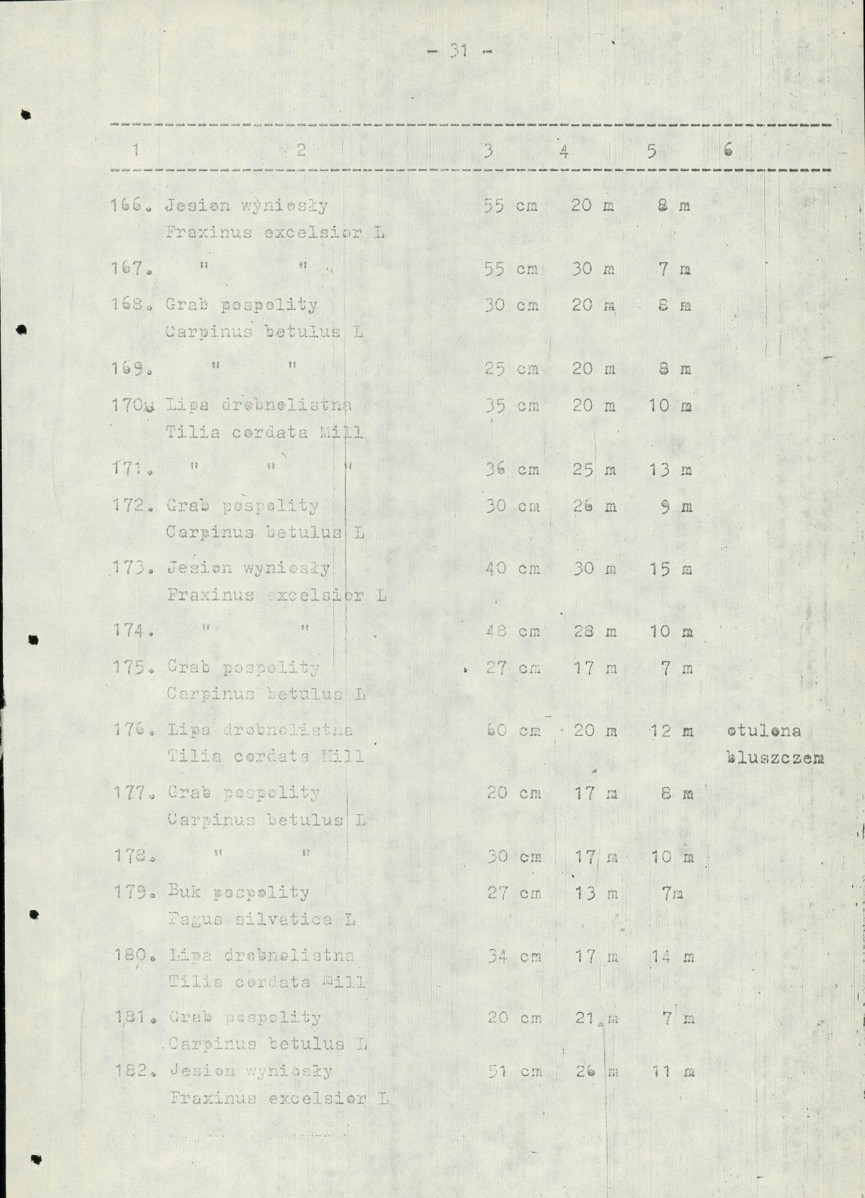 Ewidencja parkowa, skan nr 41