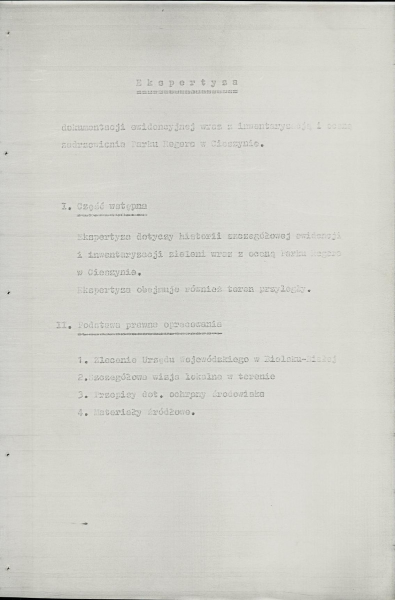 Ewidencja parkowa, skan nr 6