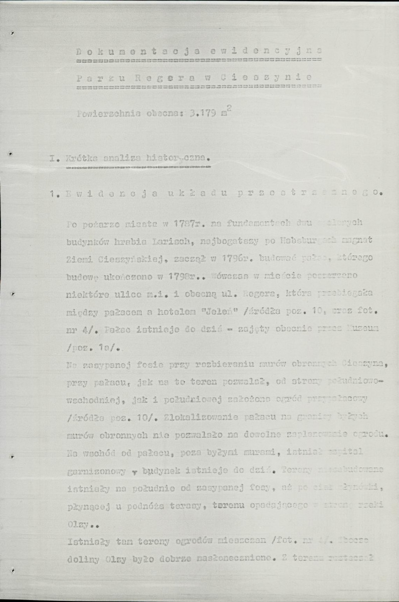 Ewidencja parkowa, skan nr 10