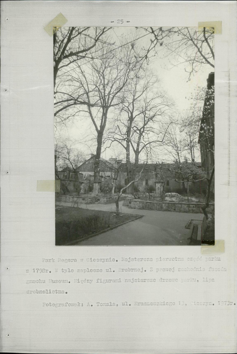 Ewidencja parkowa, skan nr 34