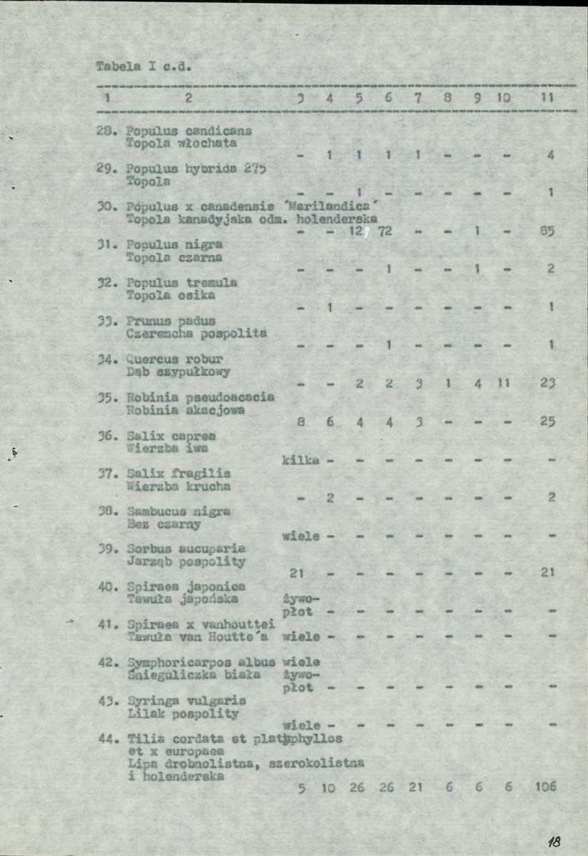 Ewidencja parkowa, skan nr 19