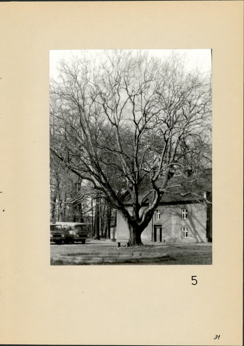 Ewidencja parkowa, skan nr 32