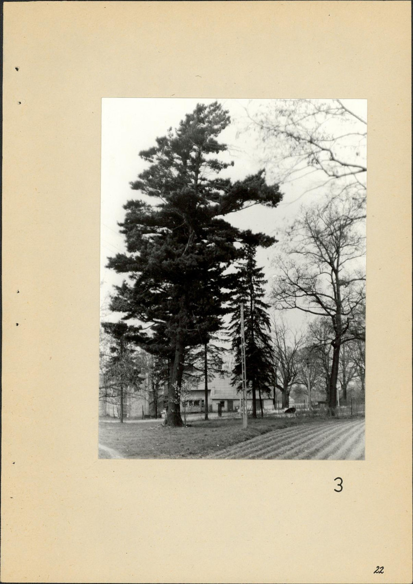 Ewidencja parkowa, skan nr 24