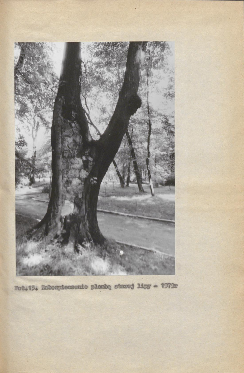 Ewidencja parkowa, skan nr 27