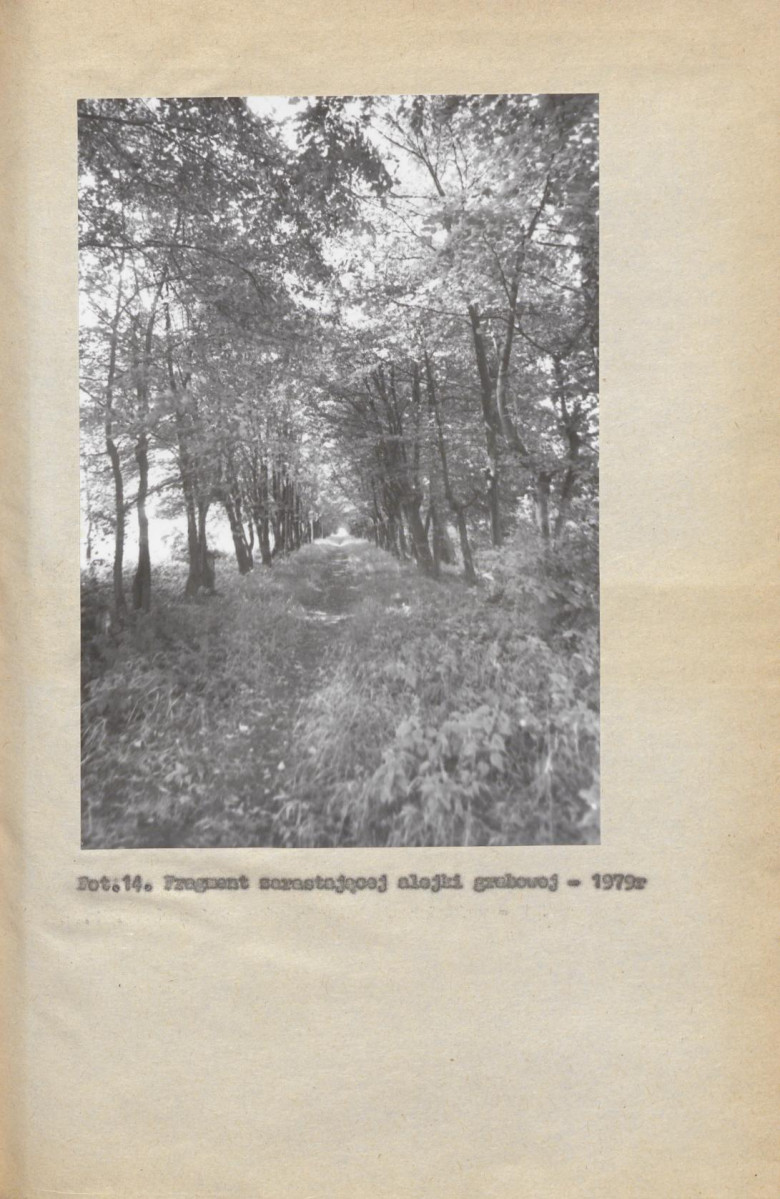 Ewidencja parkowa, skan nr 28