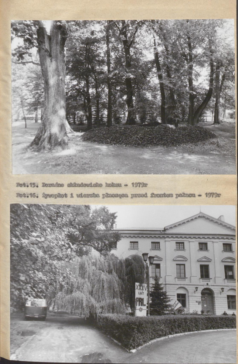 Ewidencja parkowa, skan nr 29