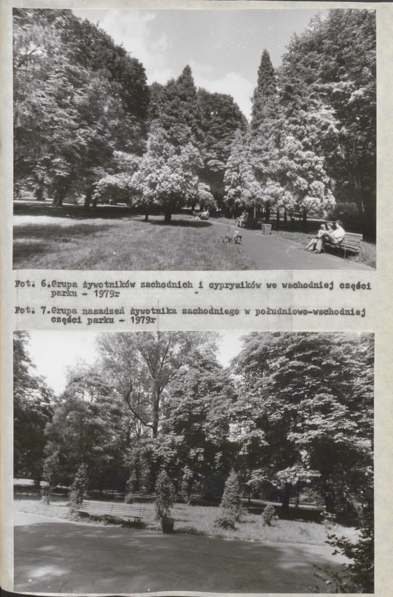 Ewidencja parkowa, skan nr 42