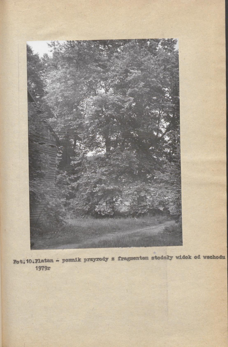 Ewidencja parkowa, skan nr 34