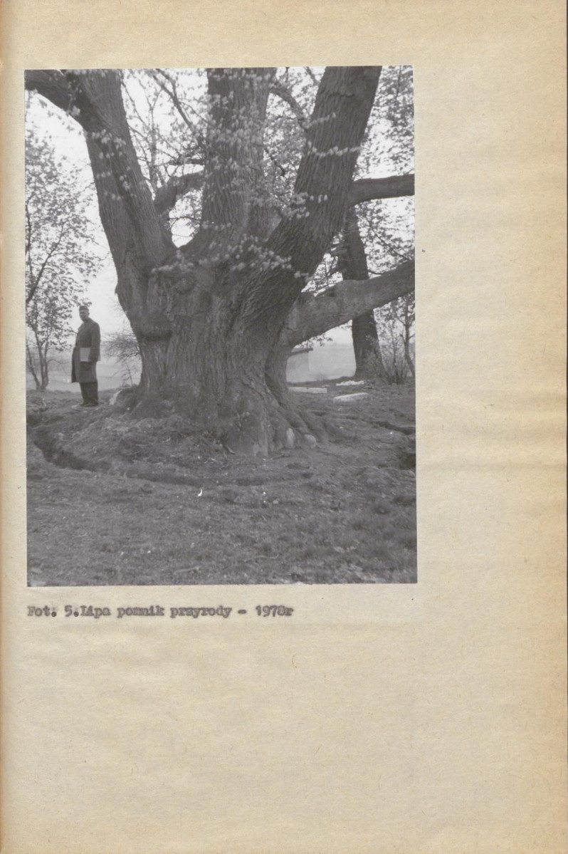 Ewidencja parkowa, skan nr 24