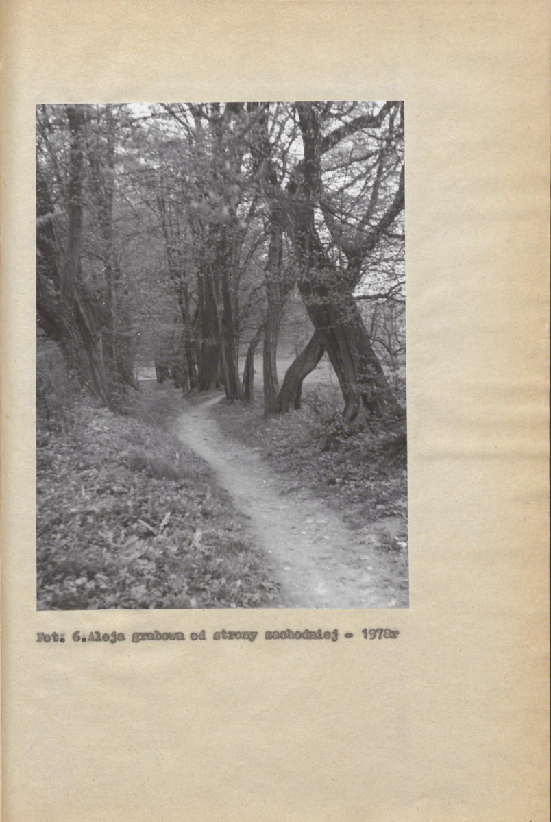 Ewidencja parkowa, skan nr 25