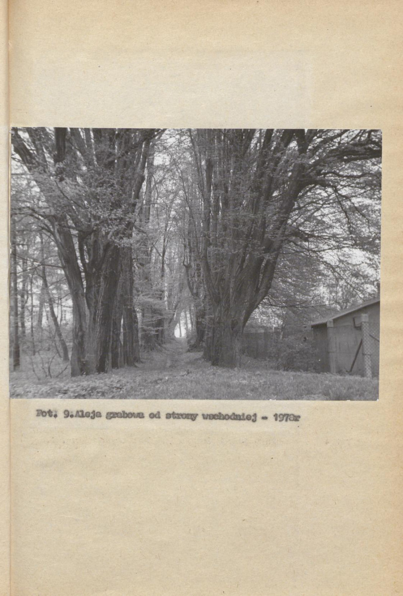 Ewidencja parkowa, skan nr 28
