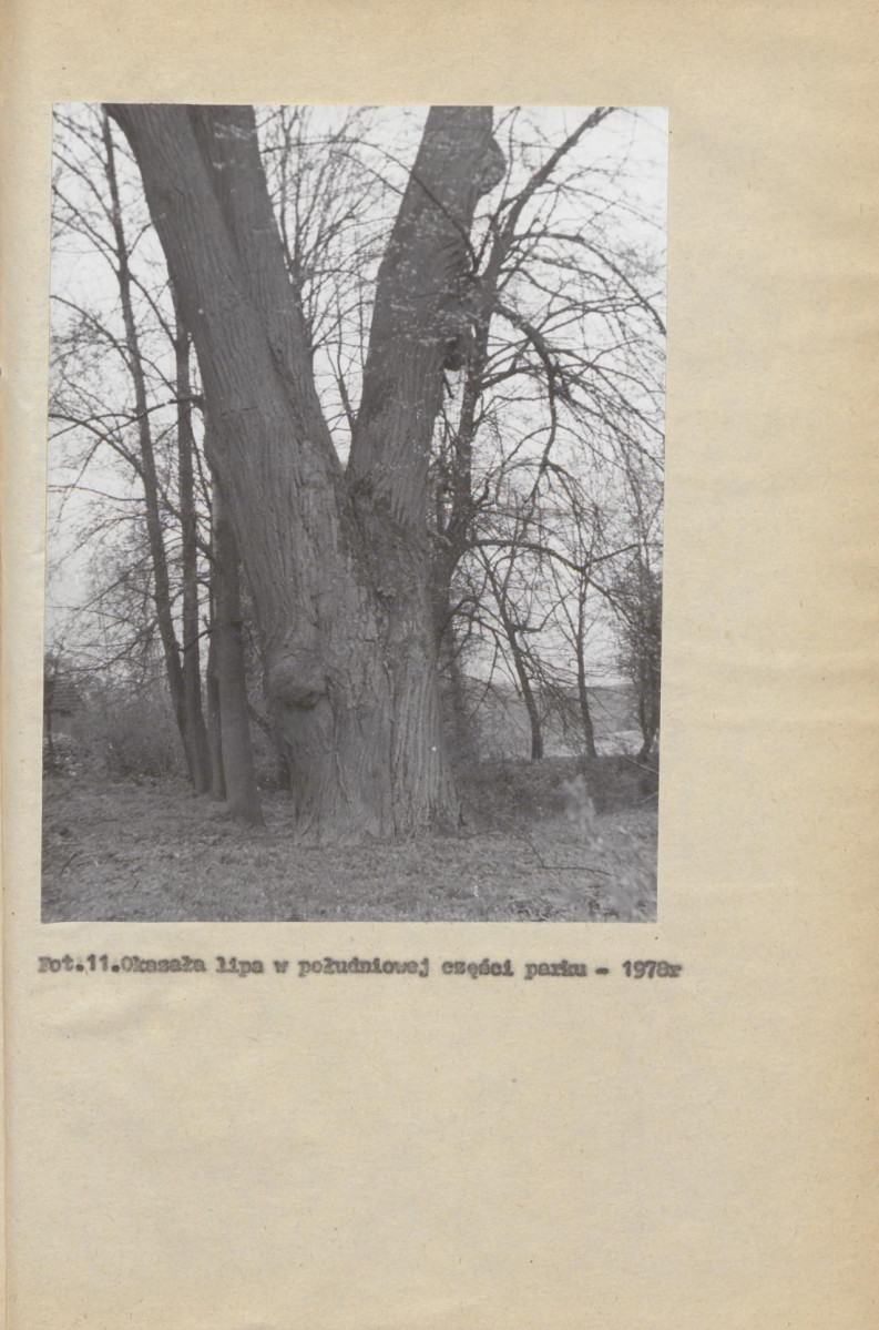 Ewidencja parkowa, skan nr 30