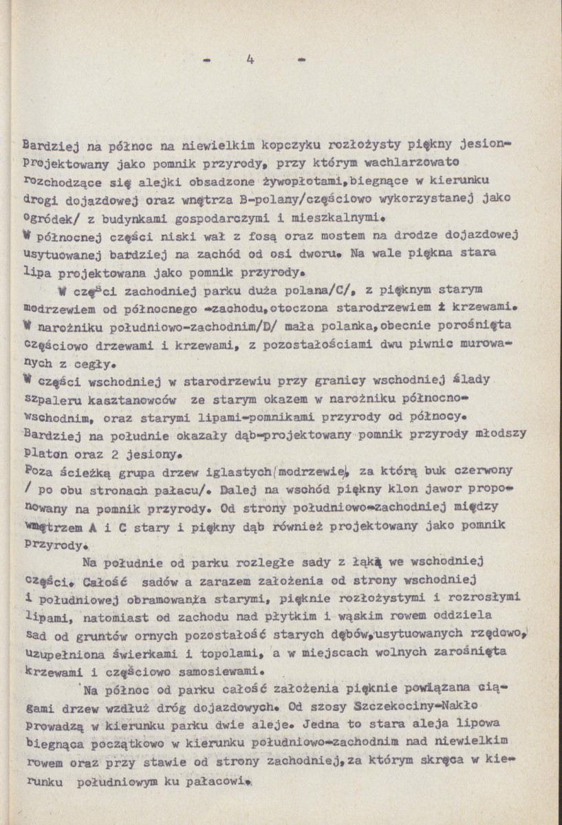 Ewidencja parkowa, skan nr 13