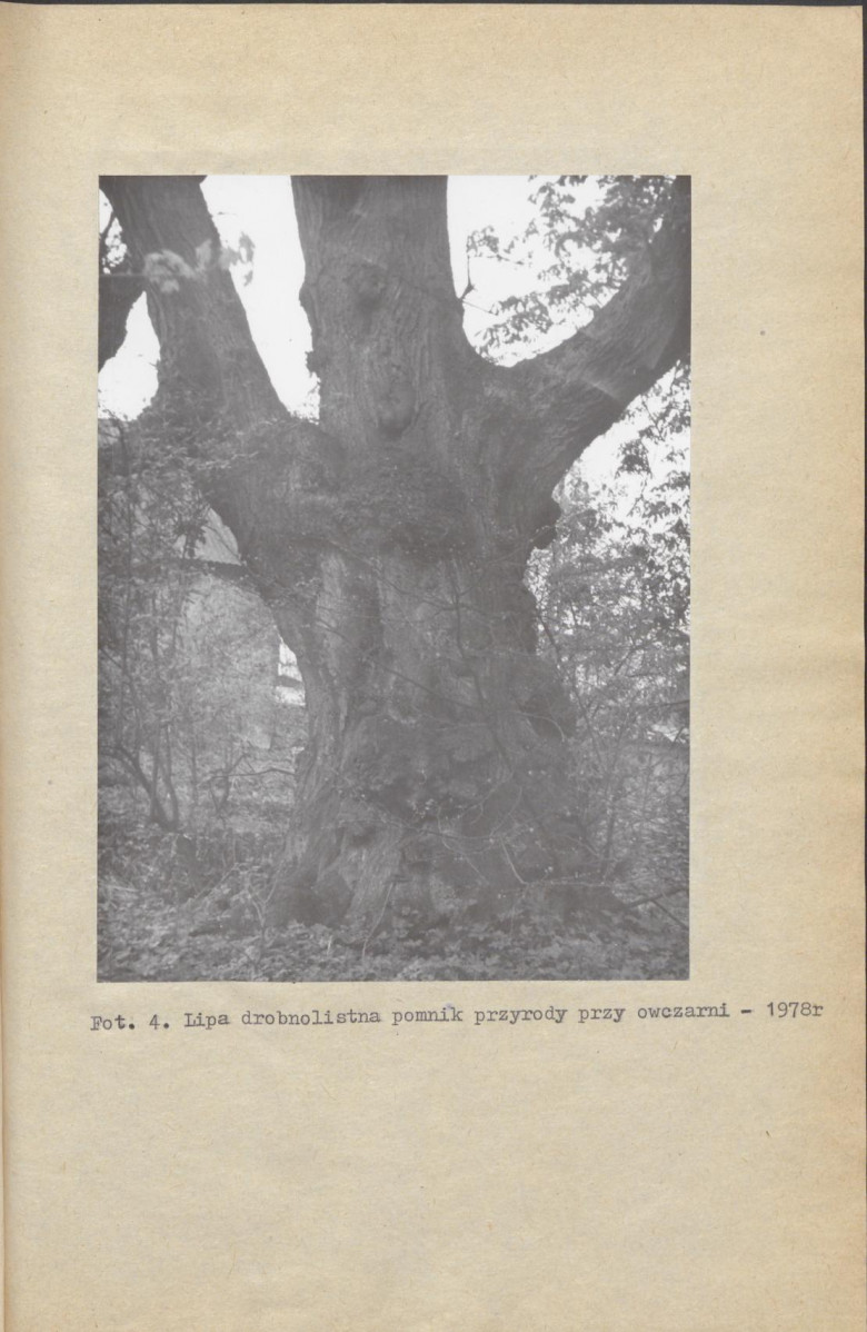 Ewidencja parkowa, skan nr 26
