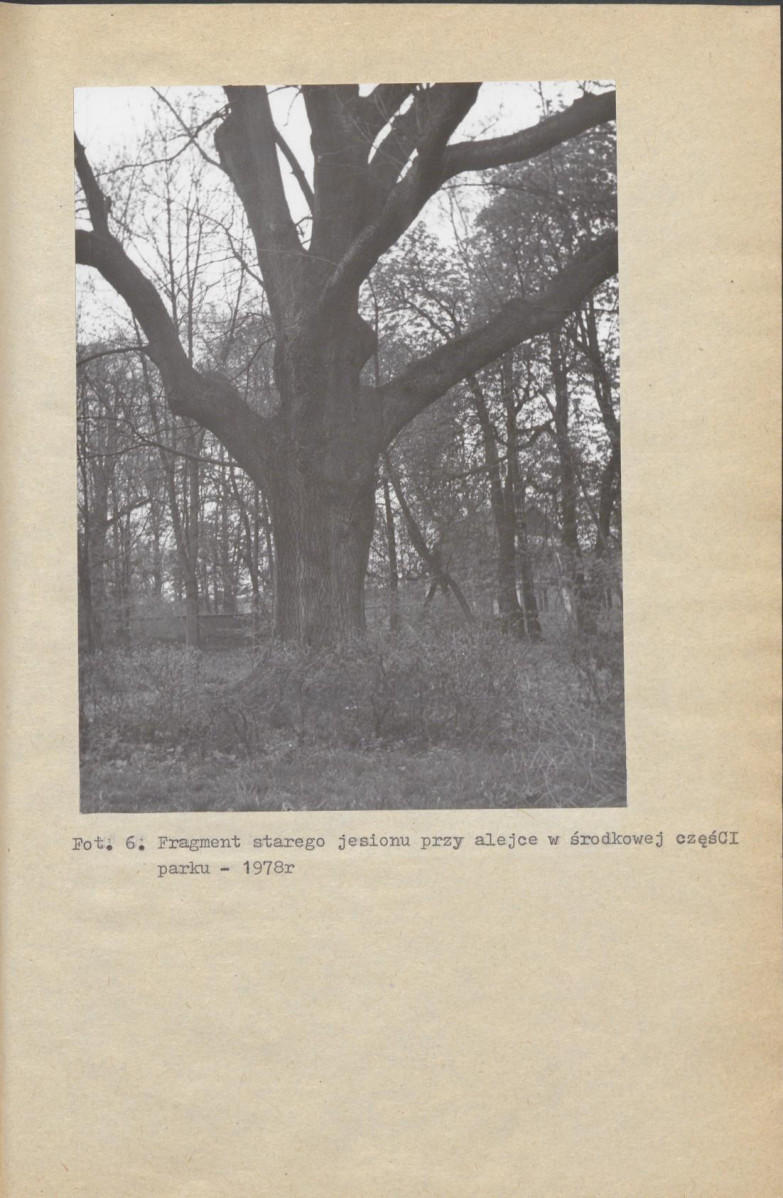 Ewidencja parkowa, skan nr 28