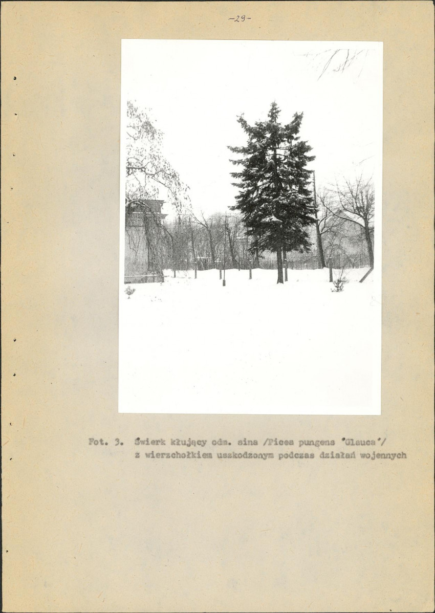 Ewidencja parkowa, skan nr 33