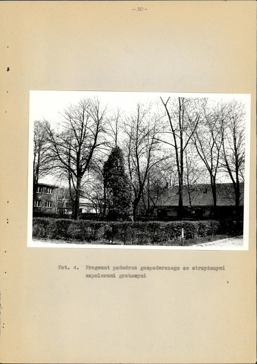 Ewidencja parkowa, skan nr 34
