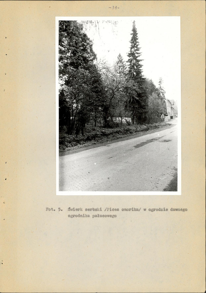 Ewidencja parkowa, skan nr 35