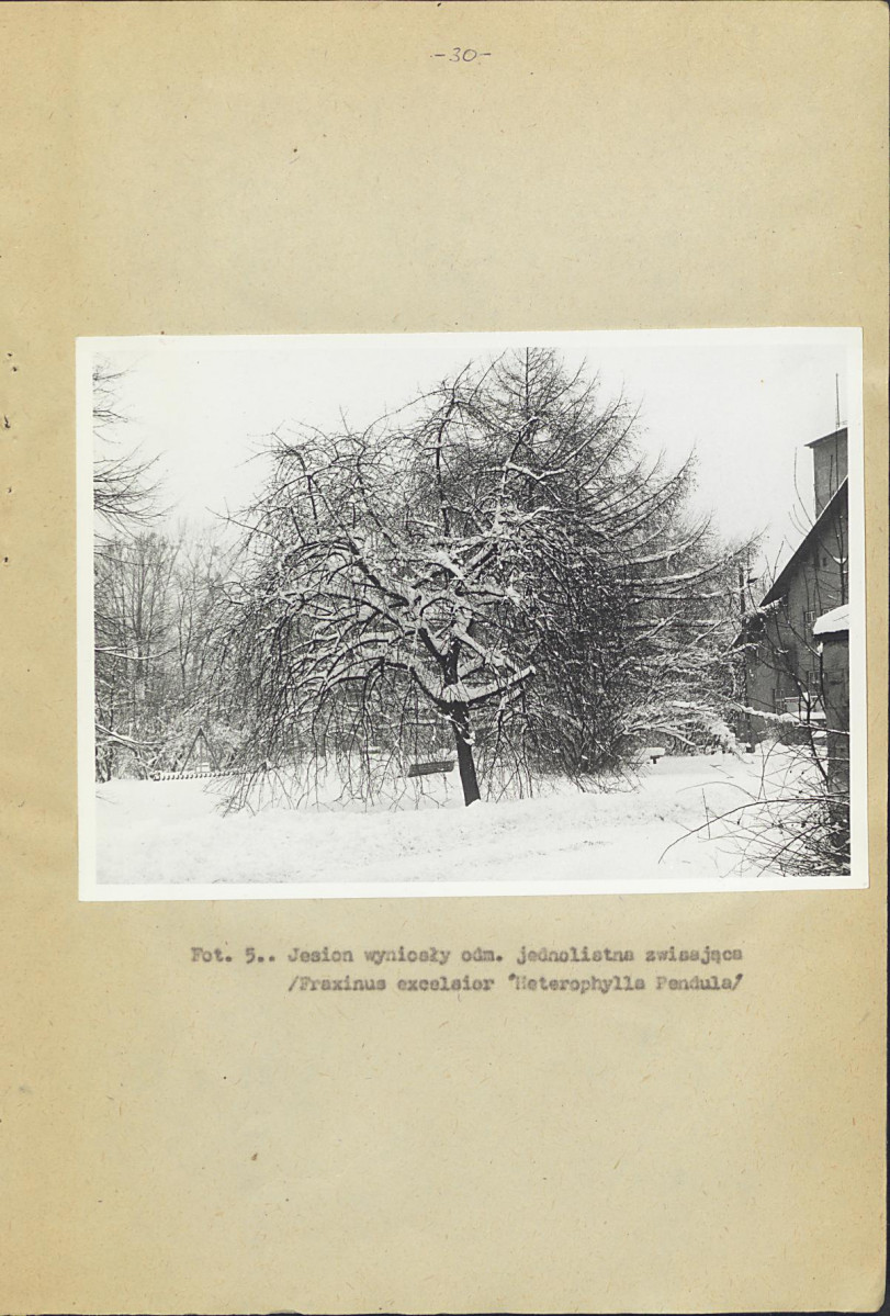 Ewidencja parkowa, skan nr 34