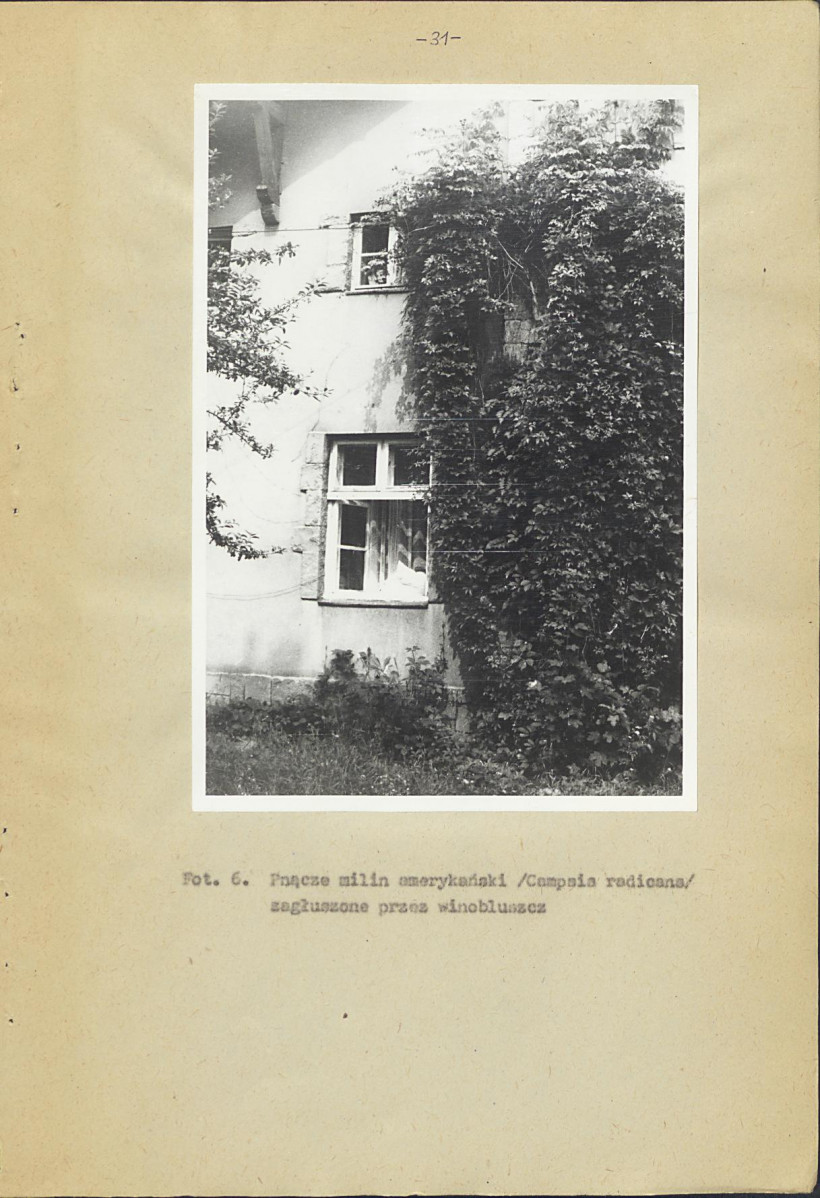 Ewidencja parkowa, skan nr 35