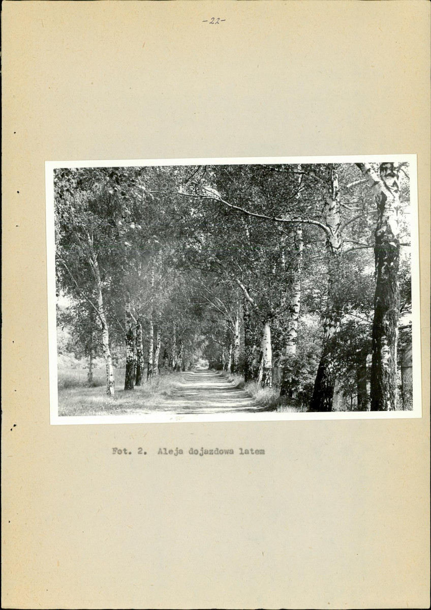 Ewidencja parkowa, skan nr 25