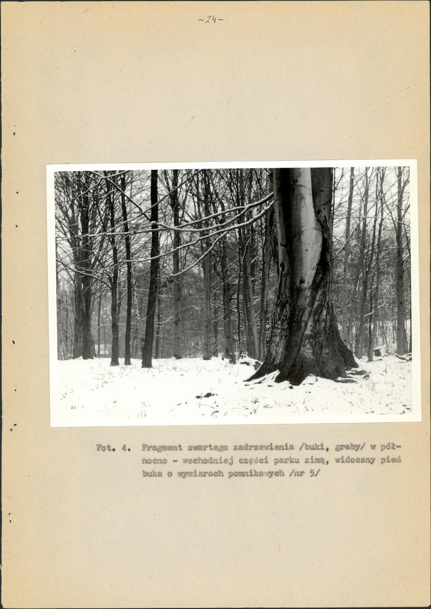 Ewidencja parkowa, skan nr 27