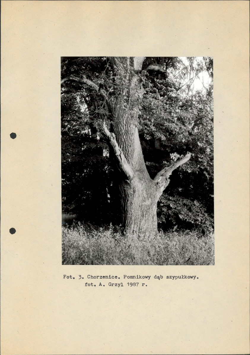 Ewidencja parkowa, skan nr 15