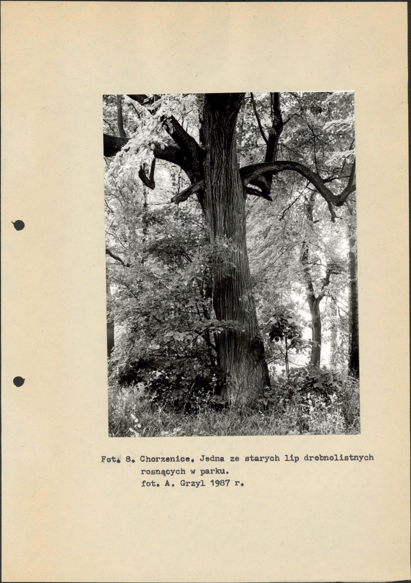 Ewidencja parkowa, skan nr 19
