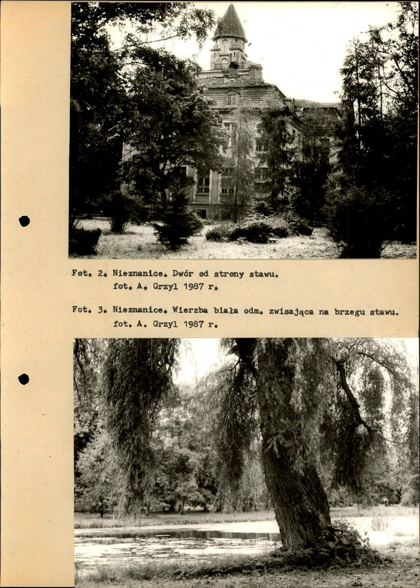 Ewidencja parkowa, skan nr 15