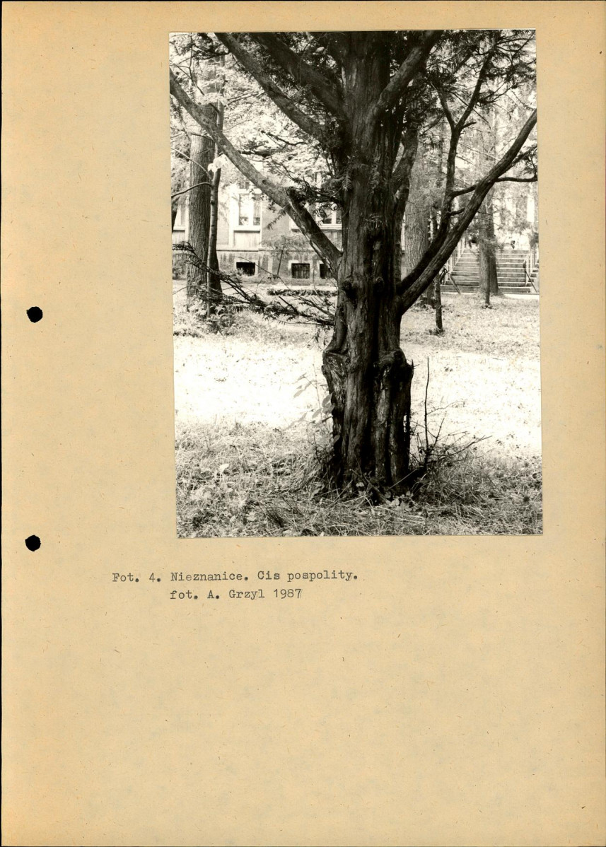 Ewidencja parkowa, skan nr 16