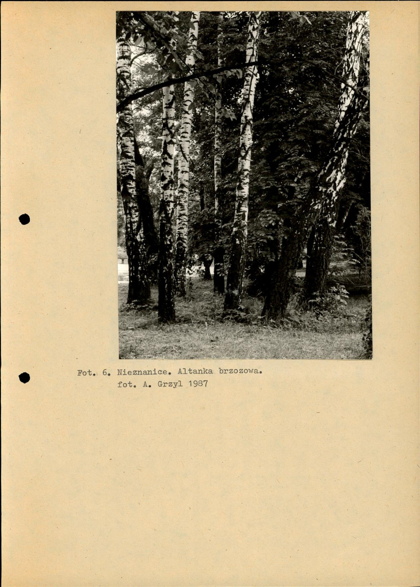 Ewidencja parkowa, skan nr 18