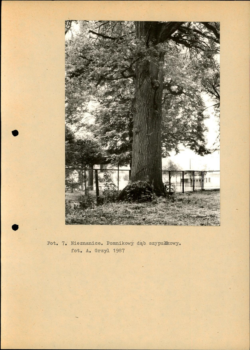 Ewidencja parkowa, skan nr 19