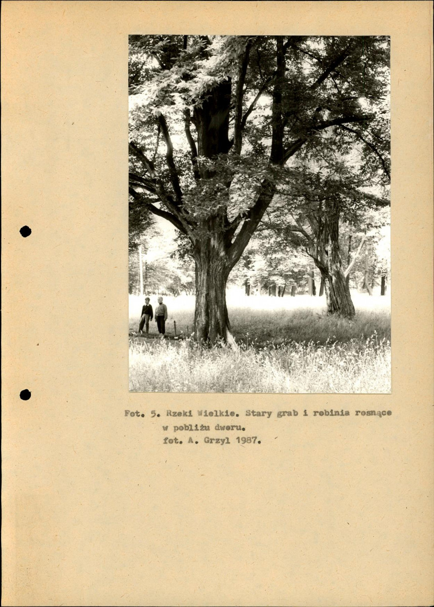 Ewidencja parkowa, skan nr 15