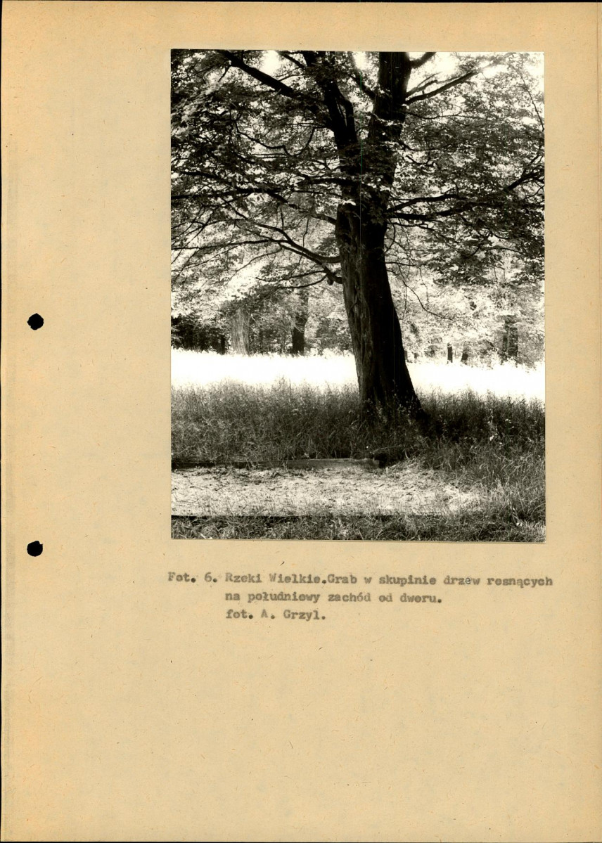 Ewidencja parkowa, skan nr 16