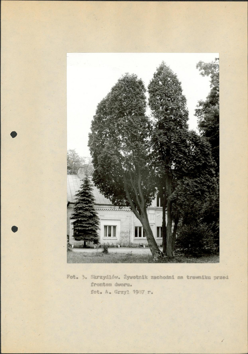 Ewidencja parkowa, skan nr 16