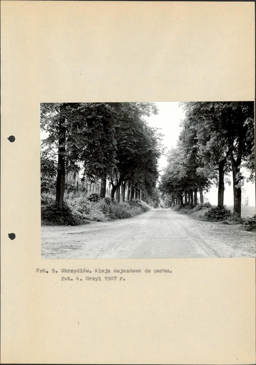 Ewidencja parkowa, skan nr 21